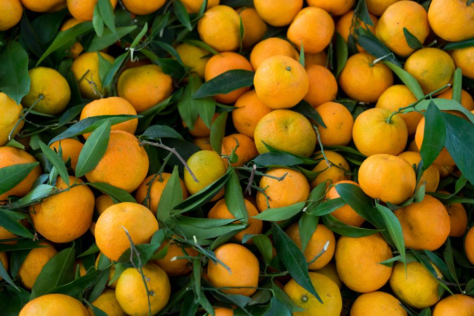 A Kinder Approach to Vitamin D And The Limits Of Sunlight, the Honest Way