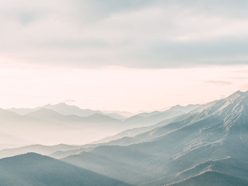 A Sensible Look at The Connection Between Body And Mind, Step by Step