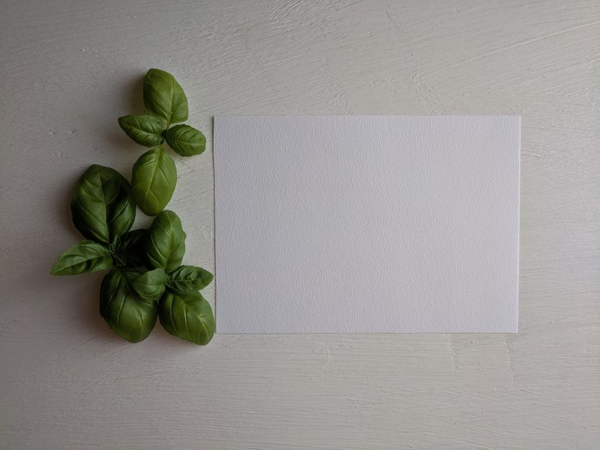 How to Stay Consistent With Herbs And Botanicals: A Cautious Look, Explained Simply