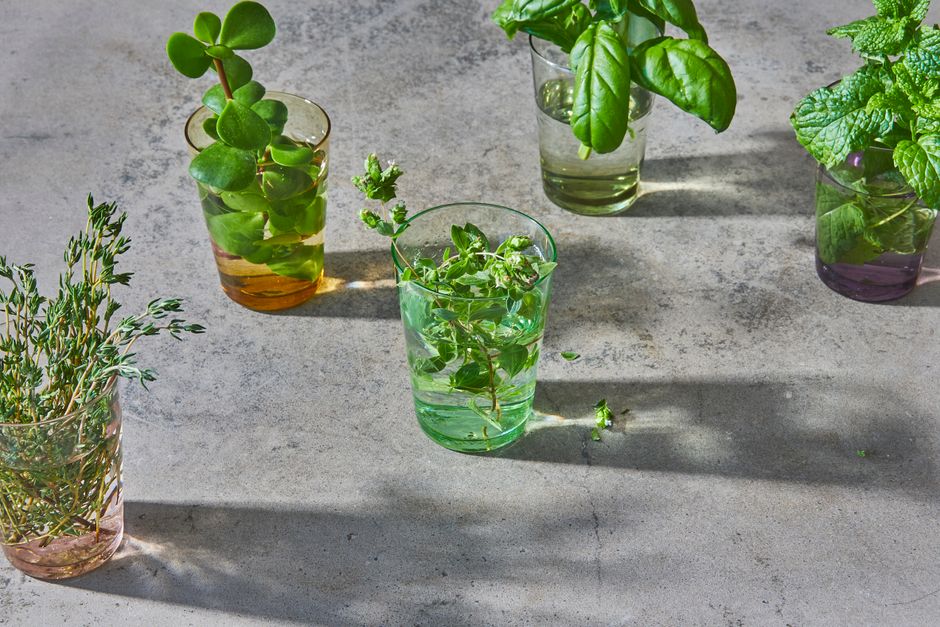 Hydration Without The Myths for Busy People, in Plain Language