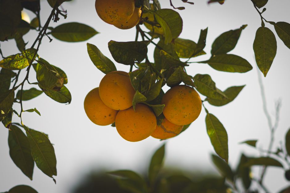 Small Wins With Iron, B12 And The Nutrients Worth Testing, for Real Life
