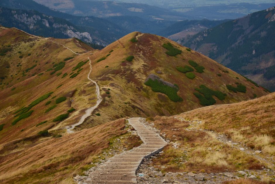 Where People Go Wrong With A Balanced Approach To Wellness, Explained Simply